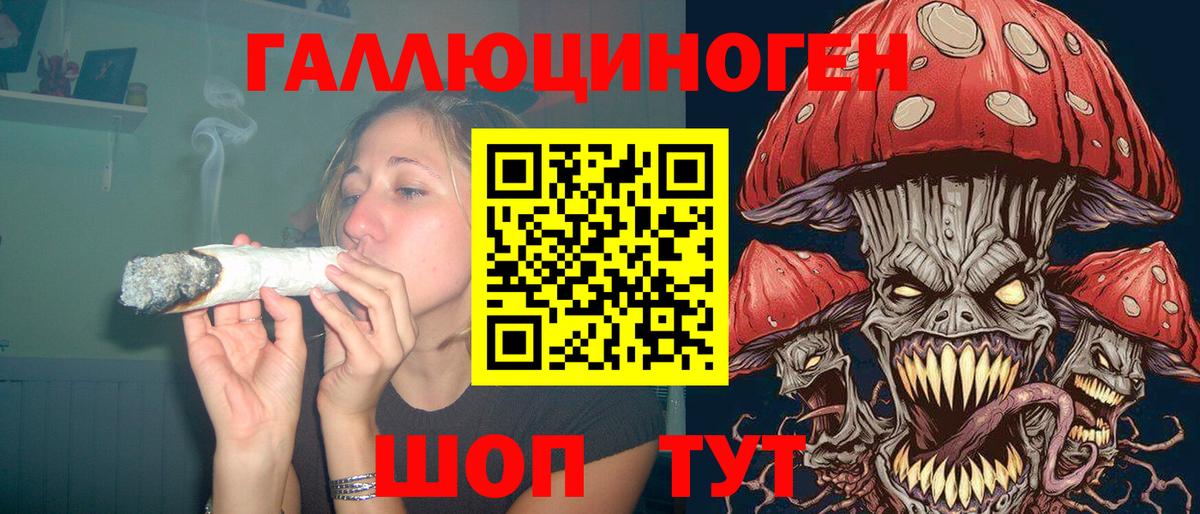 Псилоцибиновые грибы Psilocybe Калуга